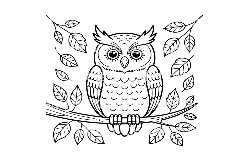 Wise Owl Autumn Leaves Coloring Books