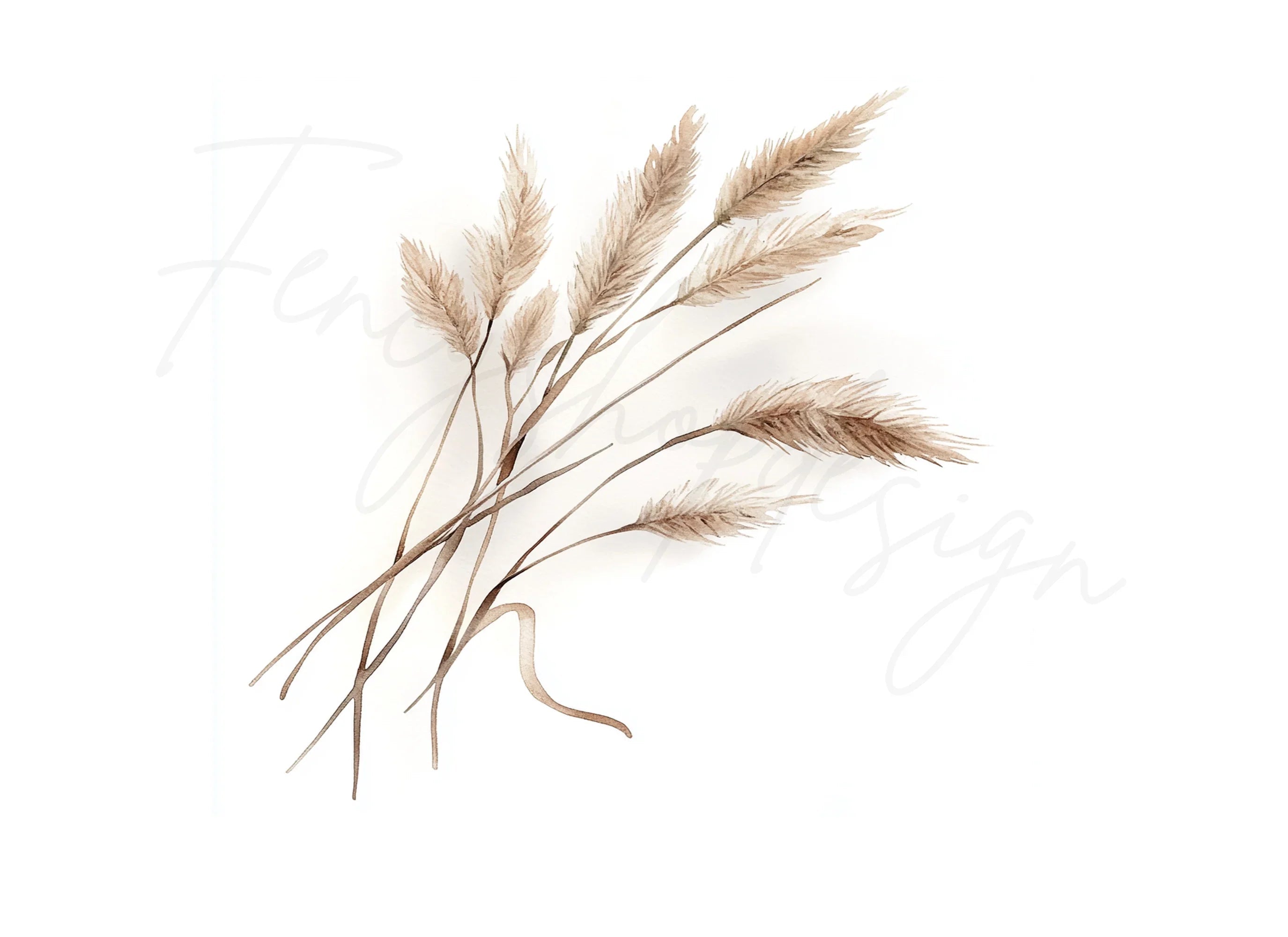 Pampas Grass Clipart Bundle