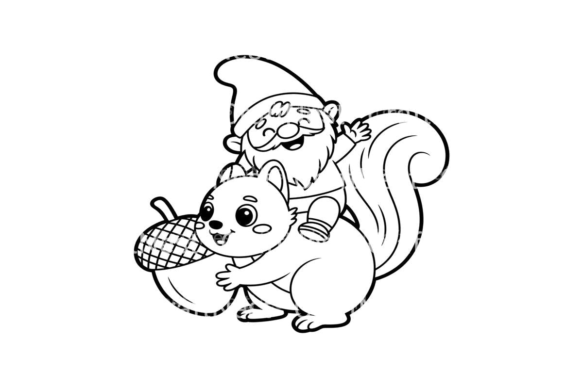 Gnome and Squirrel Friends Coloring Books
