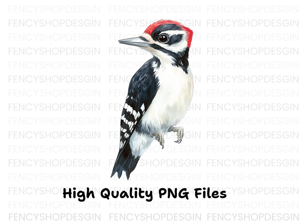 Woodpecker Clipart Bundle