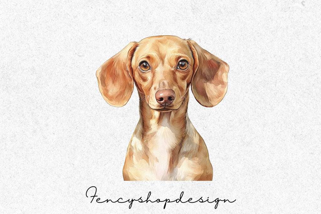 Adorable Dachshund Dog Clipart Bundle
