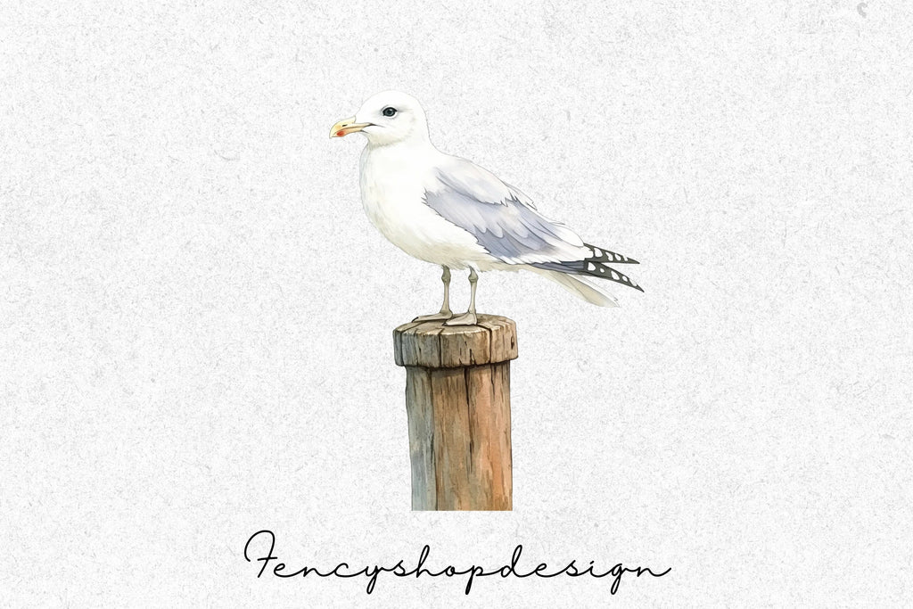 Seagull Clipart Bundle