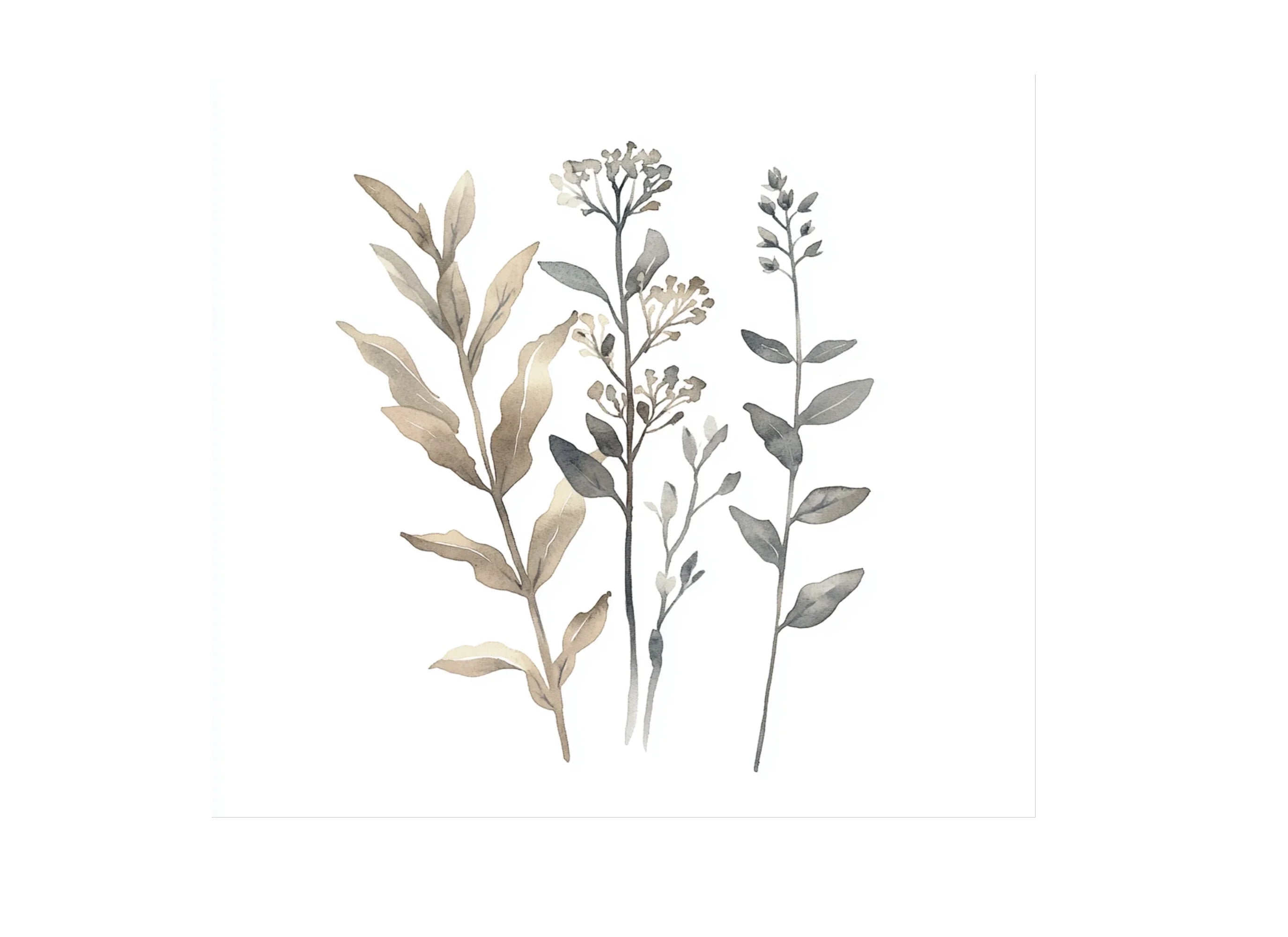 Botanical Clipart Bundle