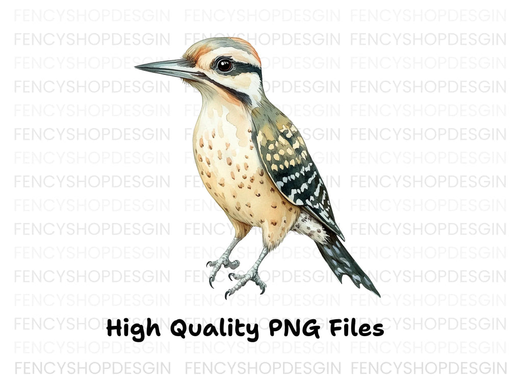 Cute Spotted Woodpecker Clipart Bundle