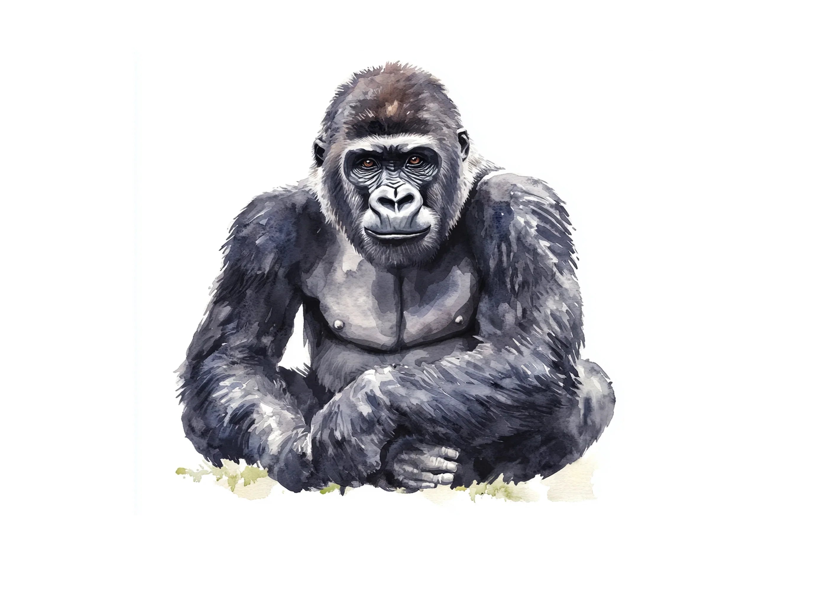 Sitting Gorilla Clipart Bundle