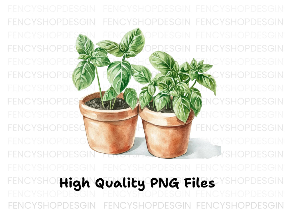 Fresh Basil Plants in Terracotta Pots Clipart Bundle