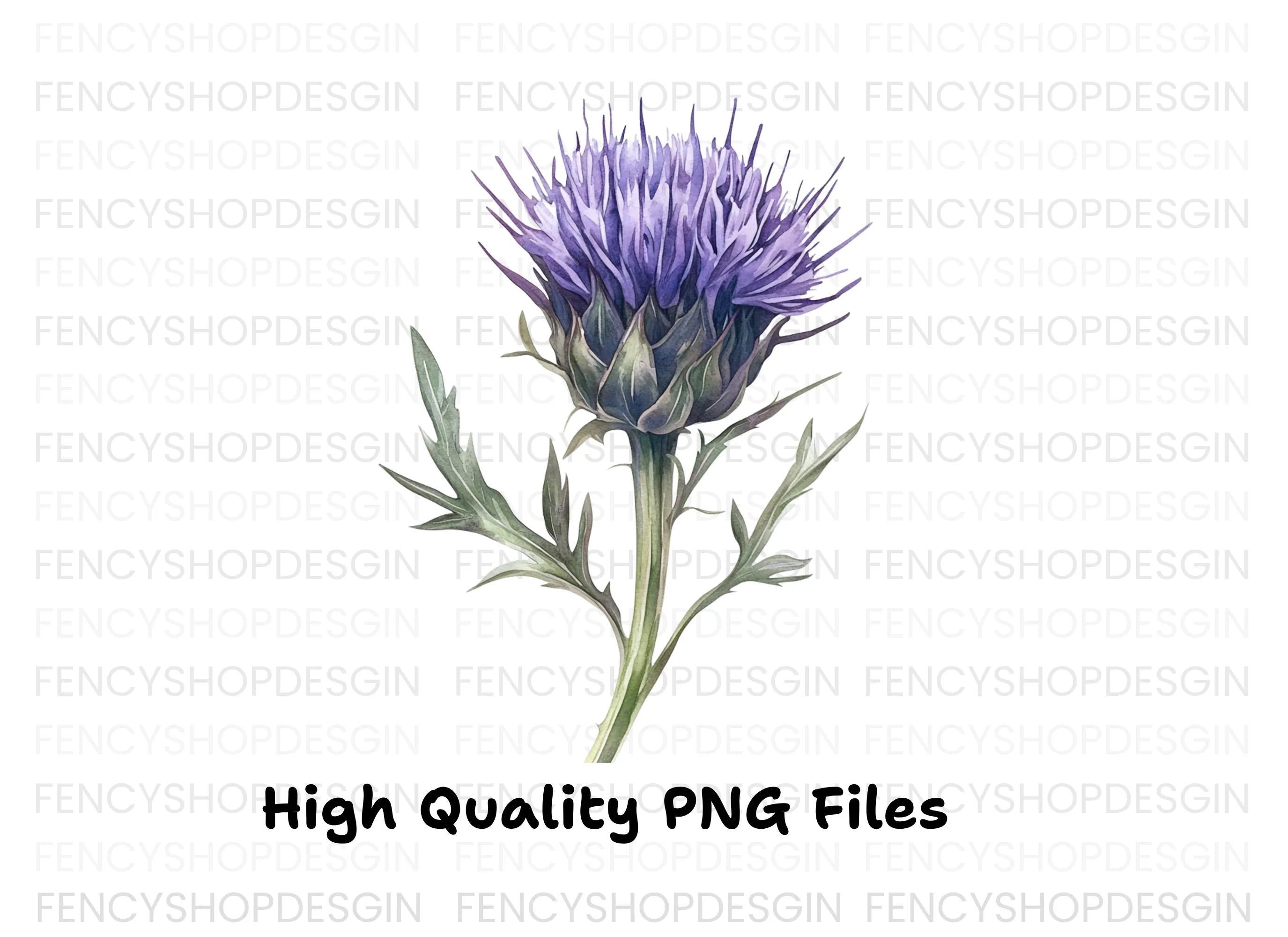 Scottish Thistle Flower Clipart Bundle