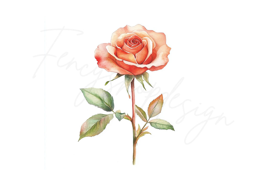 Peach Rose Clipart Bundle