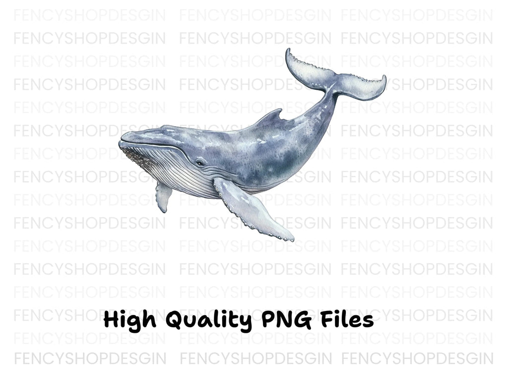 Humpback Whale Clipart Bundle