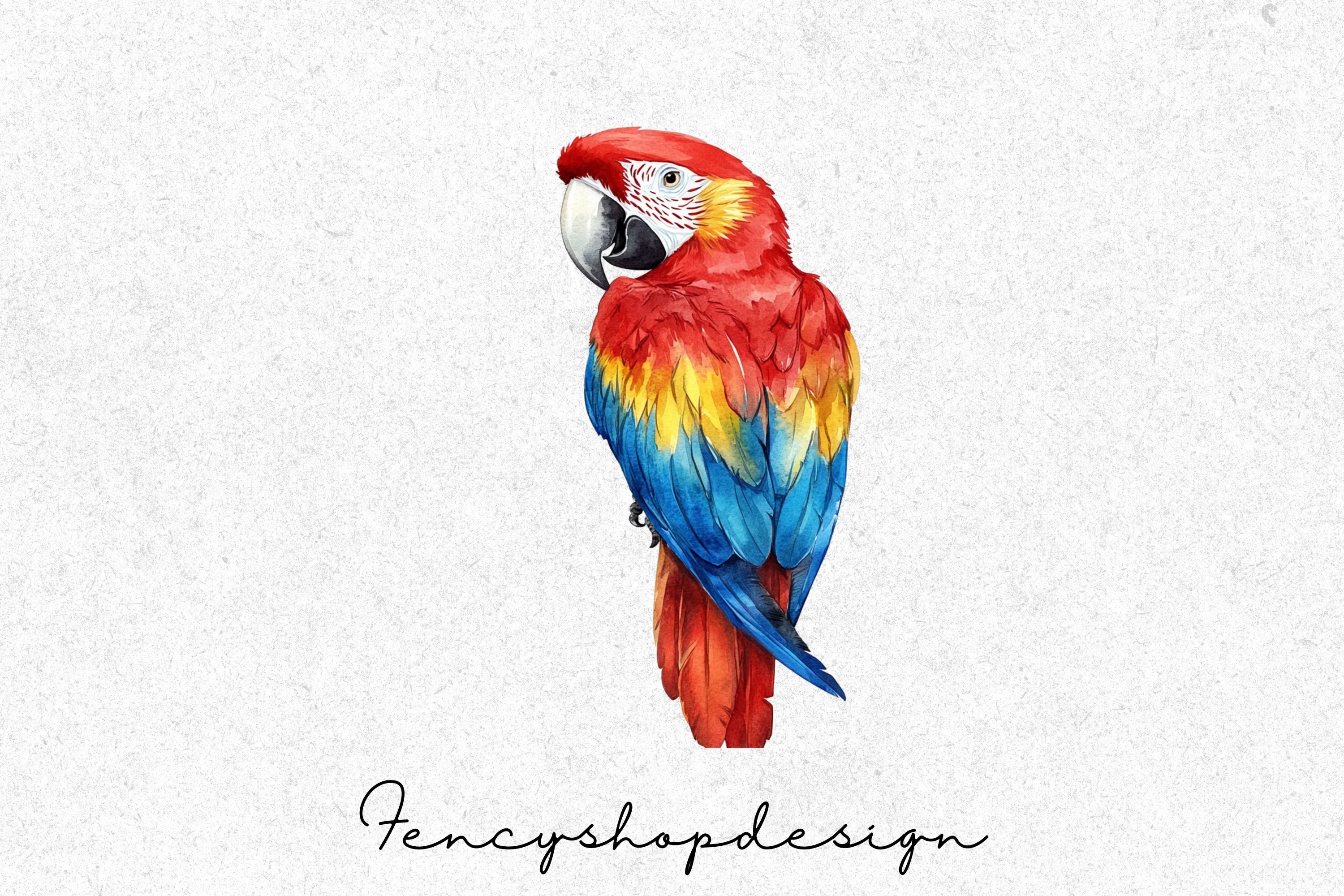 Vibrant Macaw Parrot Clipart Bundle