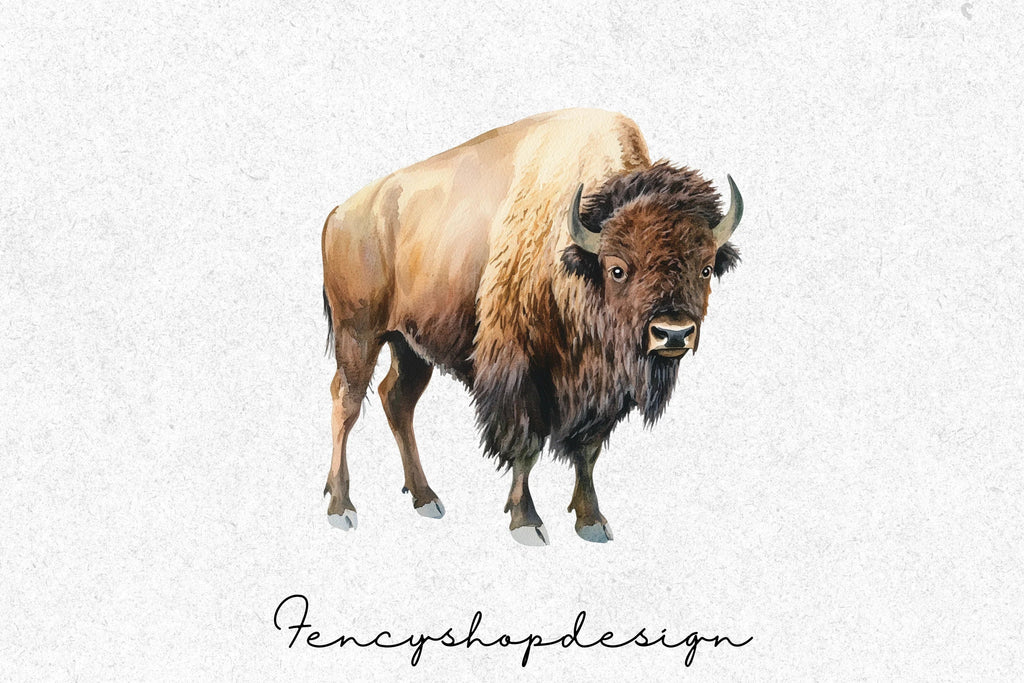 Majestic American Bison Clipart Bundle