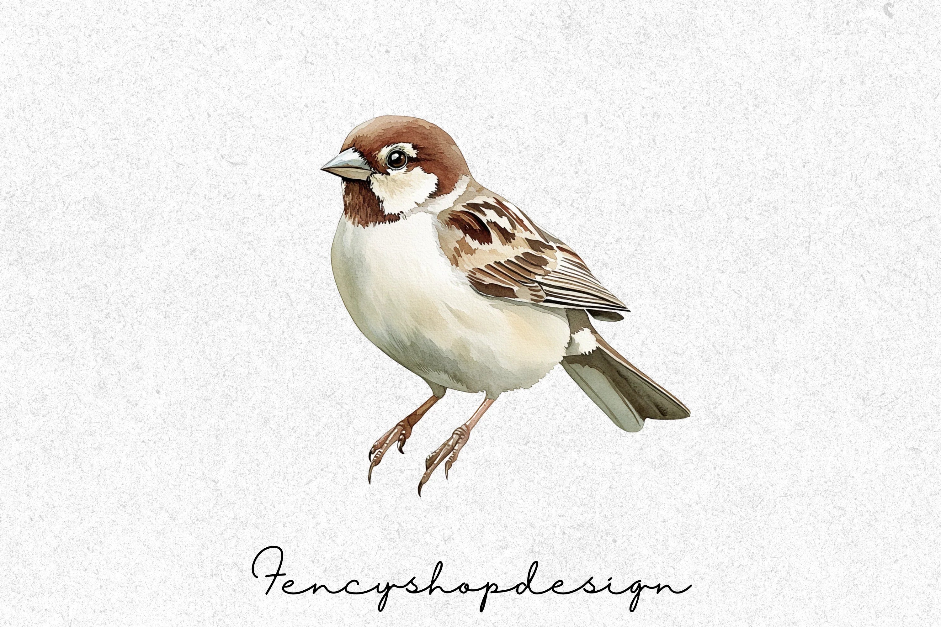 Charming Garden Sparrows Clipart Bundle