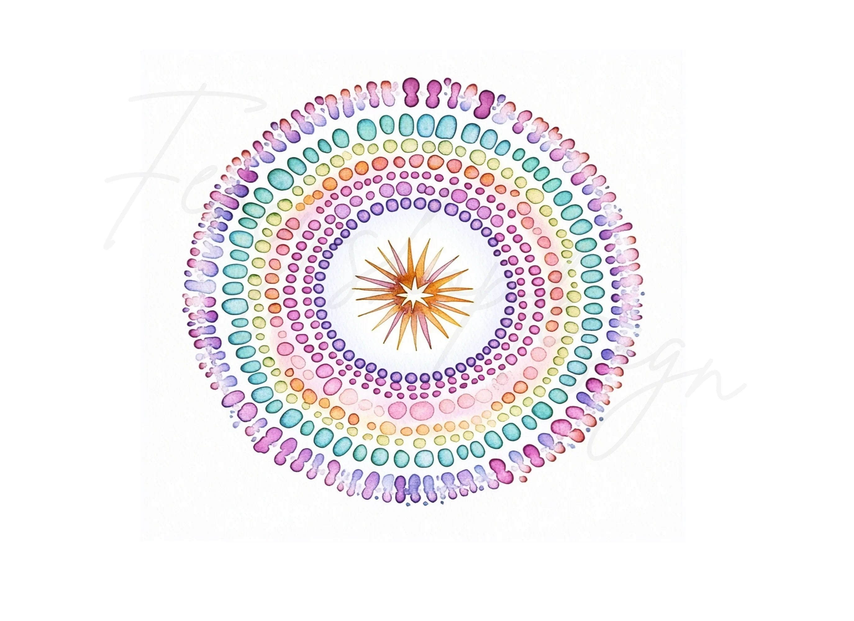 Mandala Circles Clipart Bundle