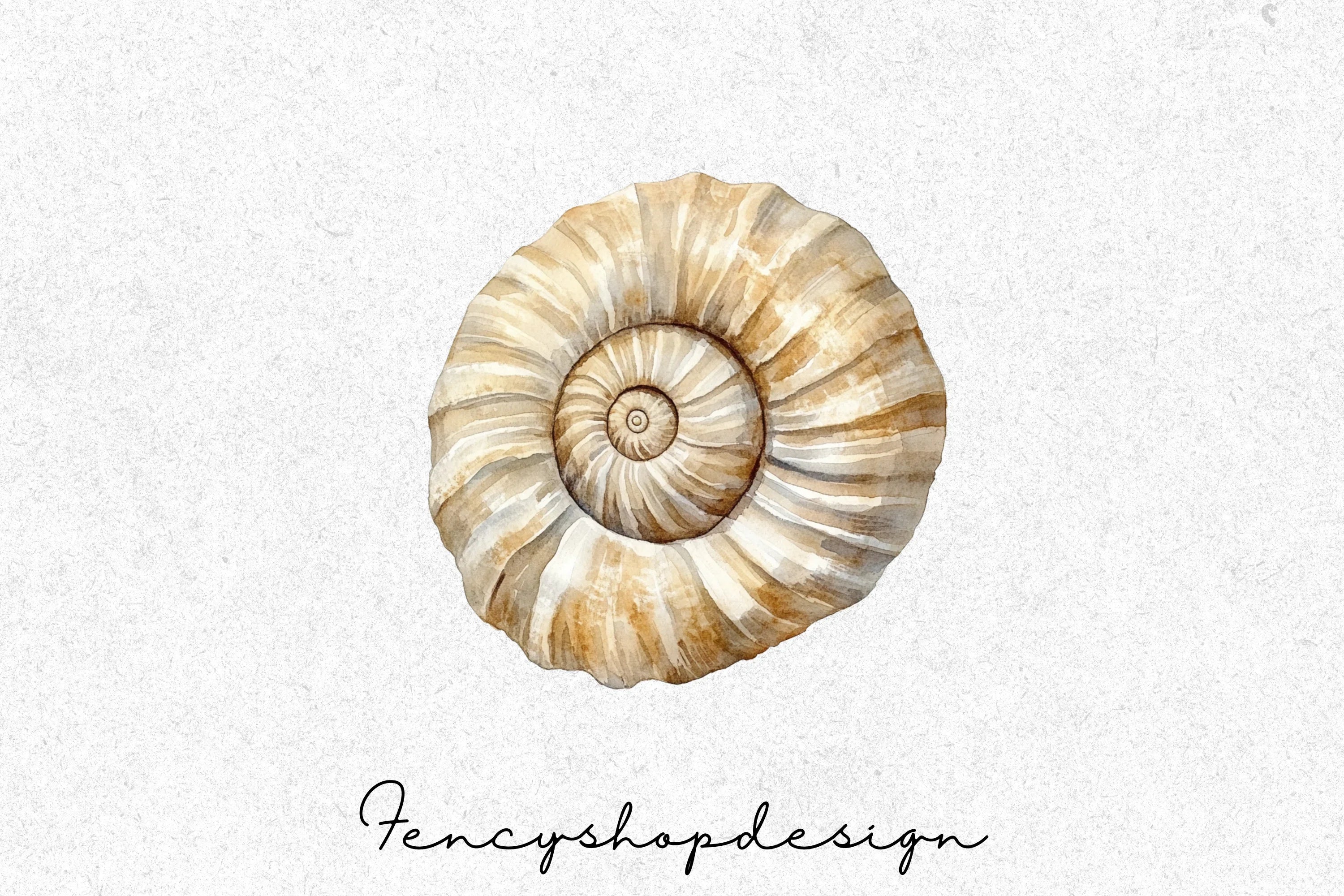 Seashell Ammonite Clipart Bundle
