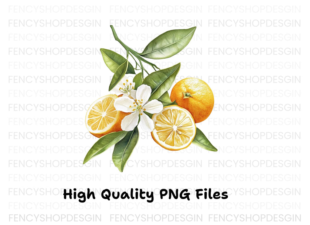 Citrus Fruit Blossom Clipart Bundle
