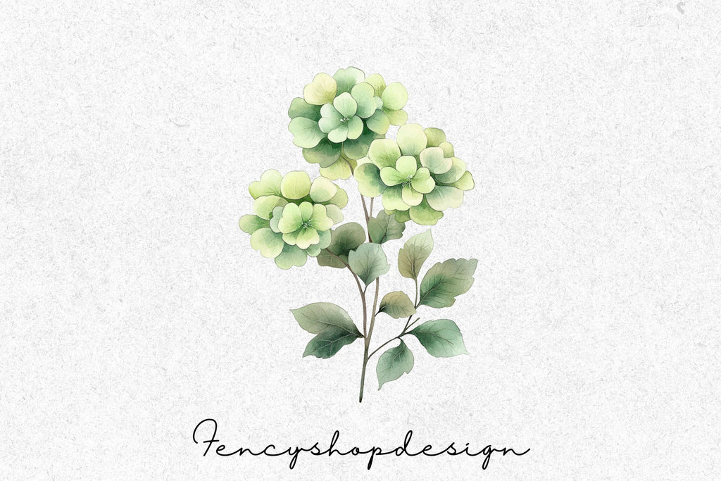 Soft Green Floral Succulent Clipart Bundle