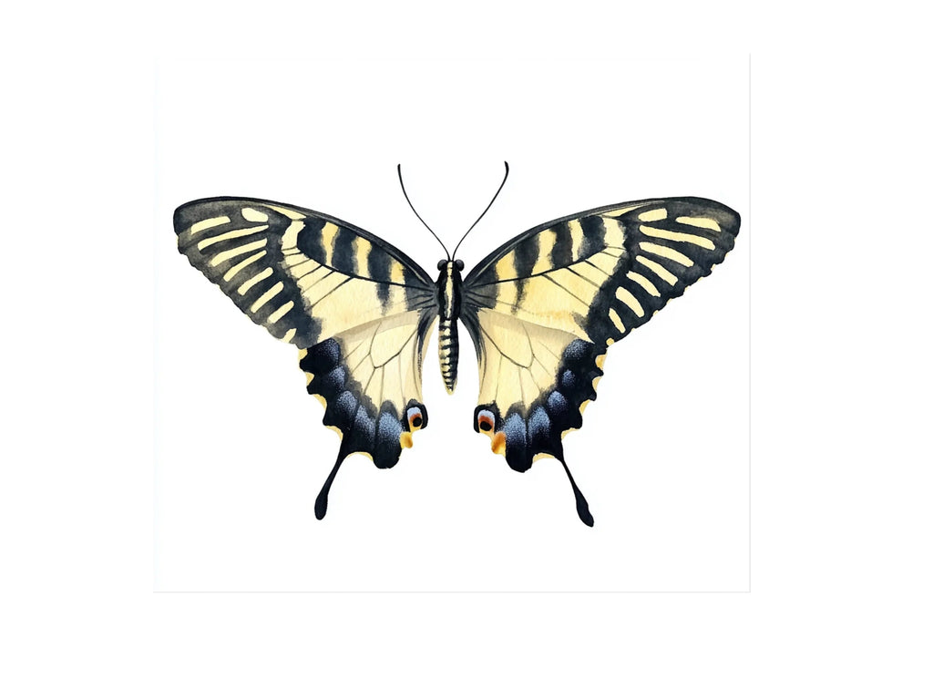 Striped Swallowtail Butterfly Clipart Bundle