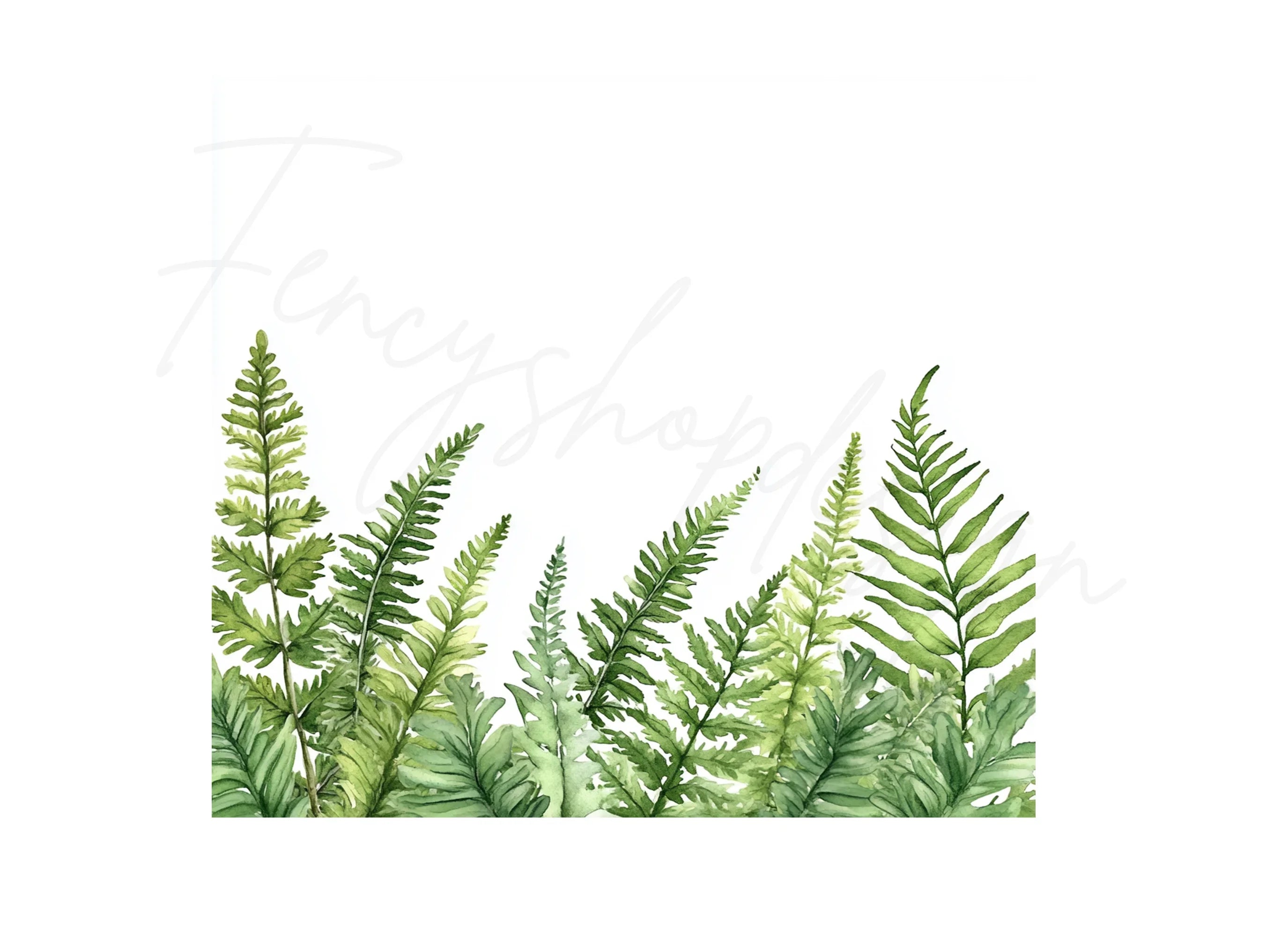 Fern Border Clipart Bundle