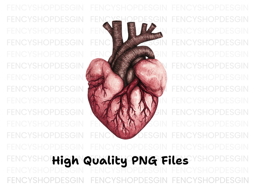 Anatomical Human Heart Clipart Bundle