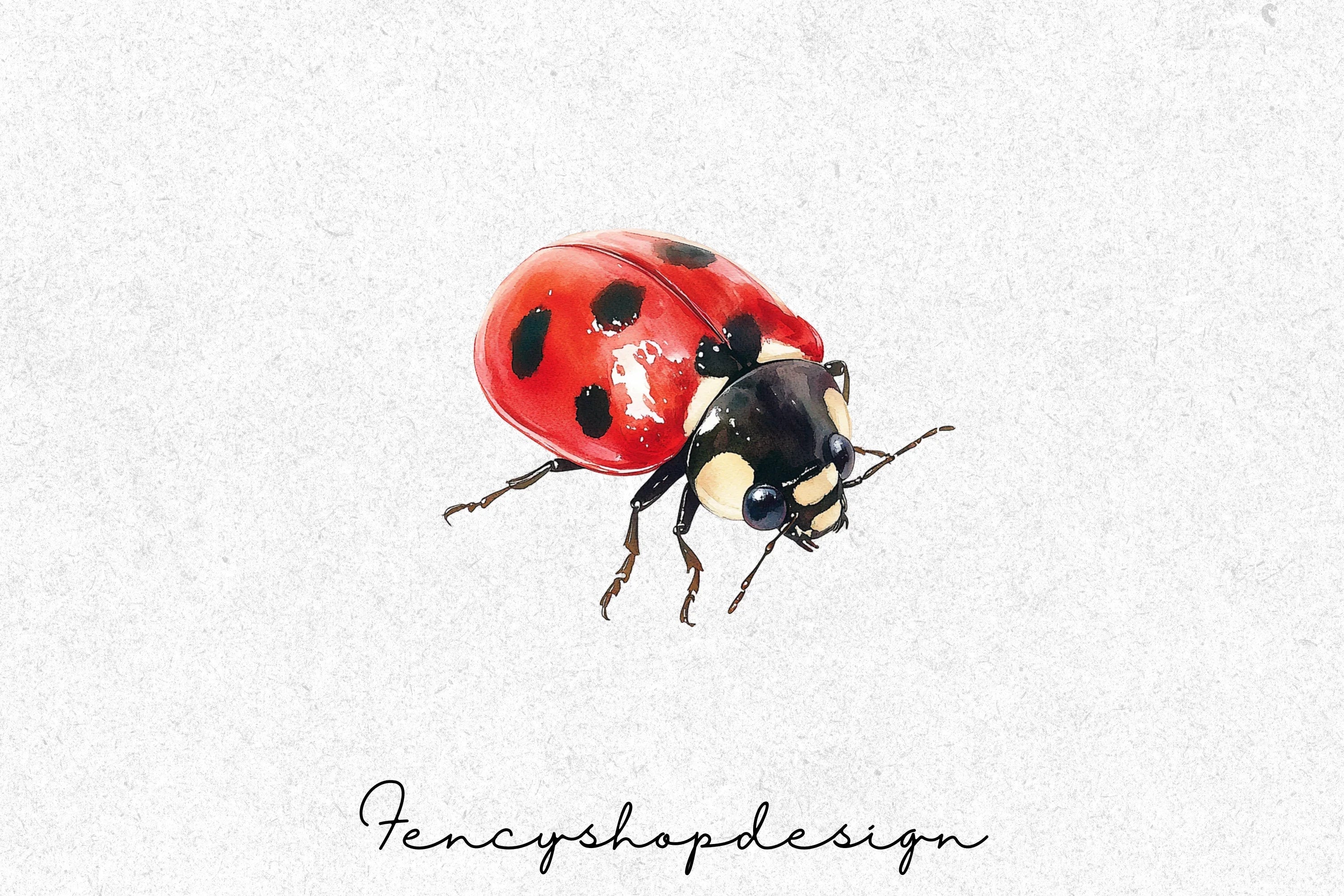Ladybug Clipart Bundle