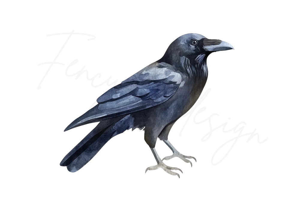 Black Crow Bird Clipart Bundle