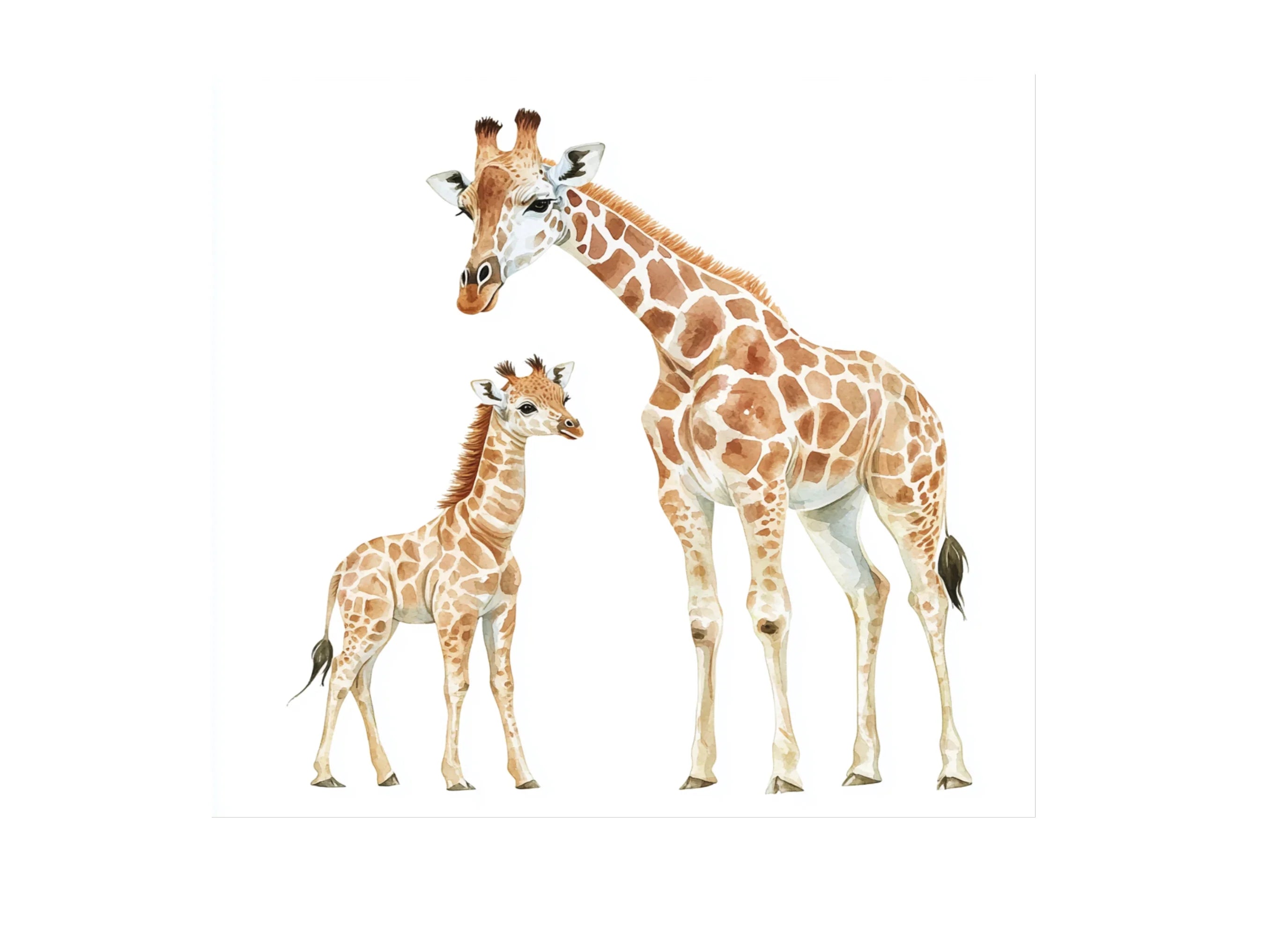 Giraffe Family Clipart Bundle