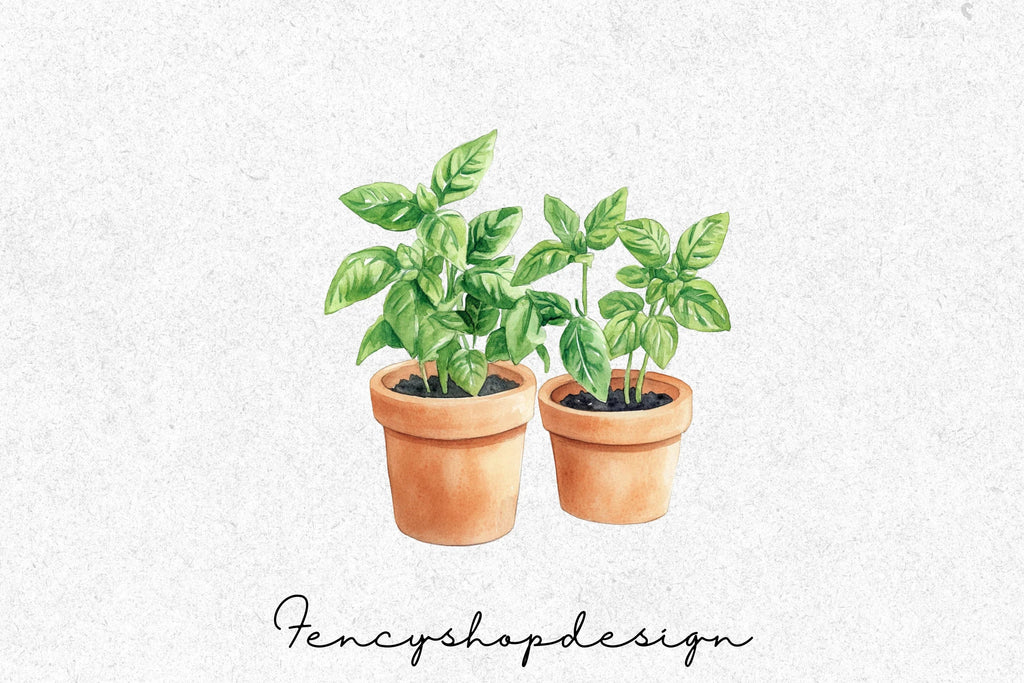 Potted Herbs Clipart Bundle