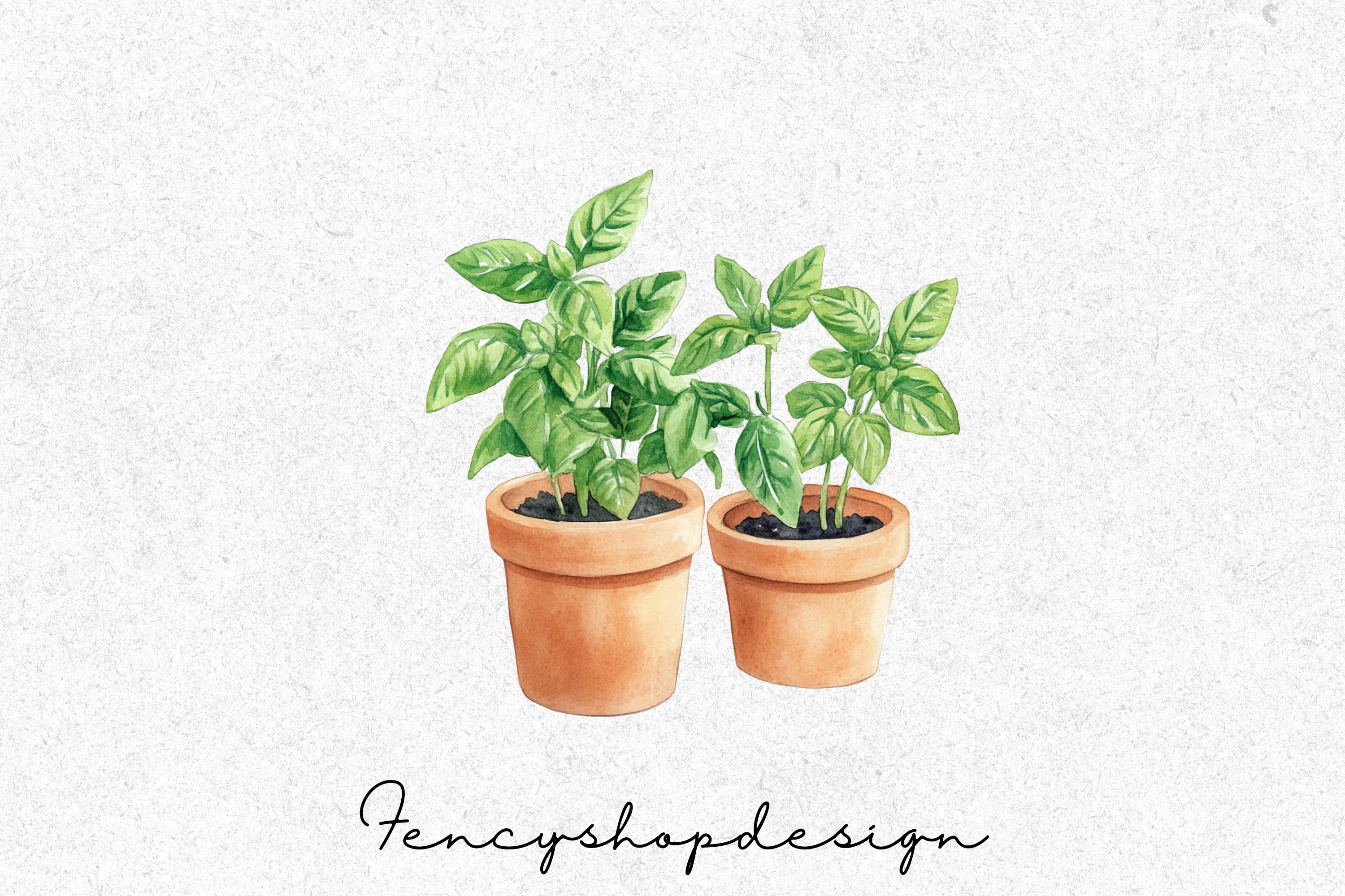Potted Herbs Clipart Bundle