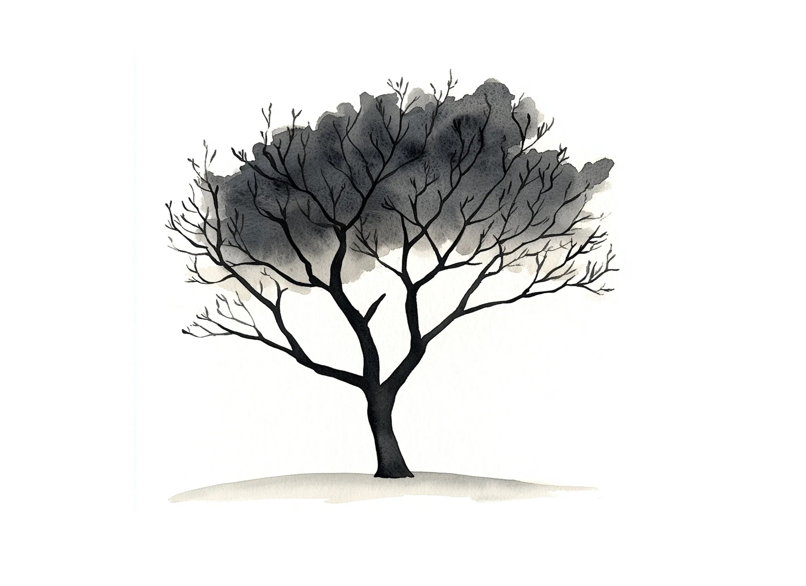 Monochromatic Tree Illustrations Clipart Bundle