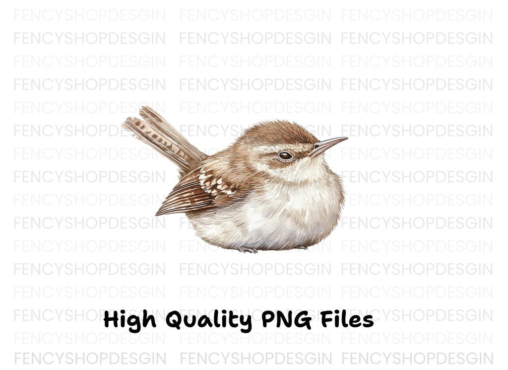 Cute Wren Bird Clipart Bundle
