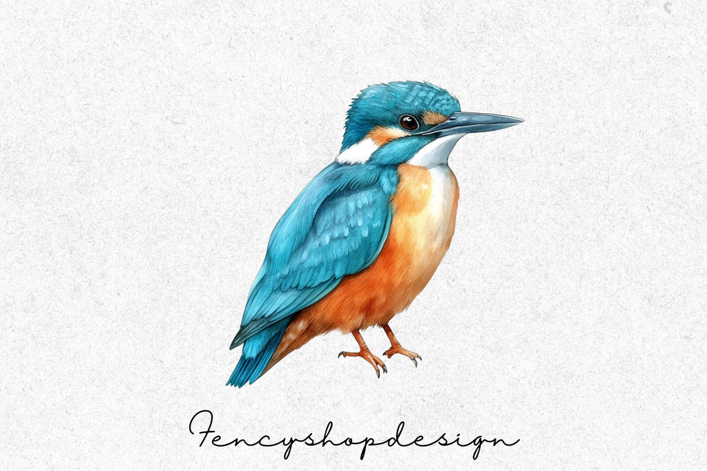 Kingfisher Birds Clipart Bundle