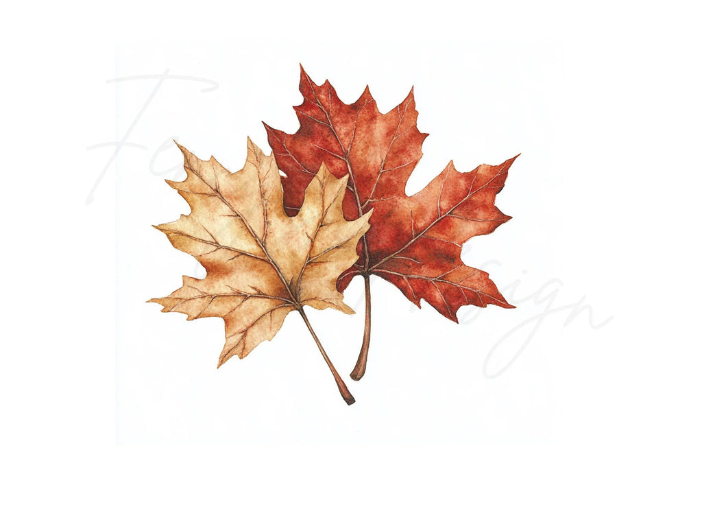Autumn Maple Leaves Clipart Bundle