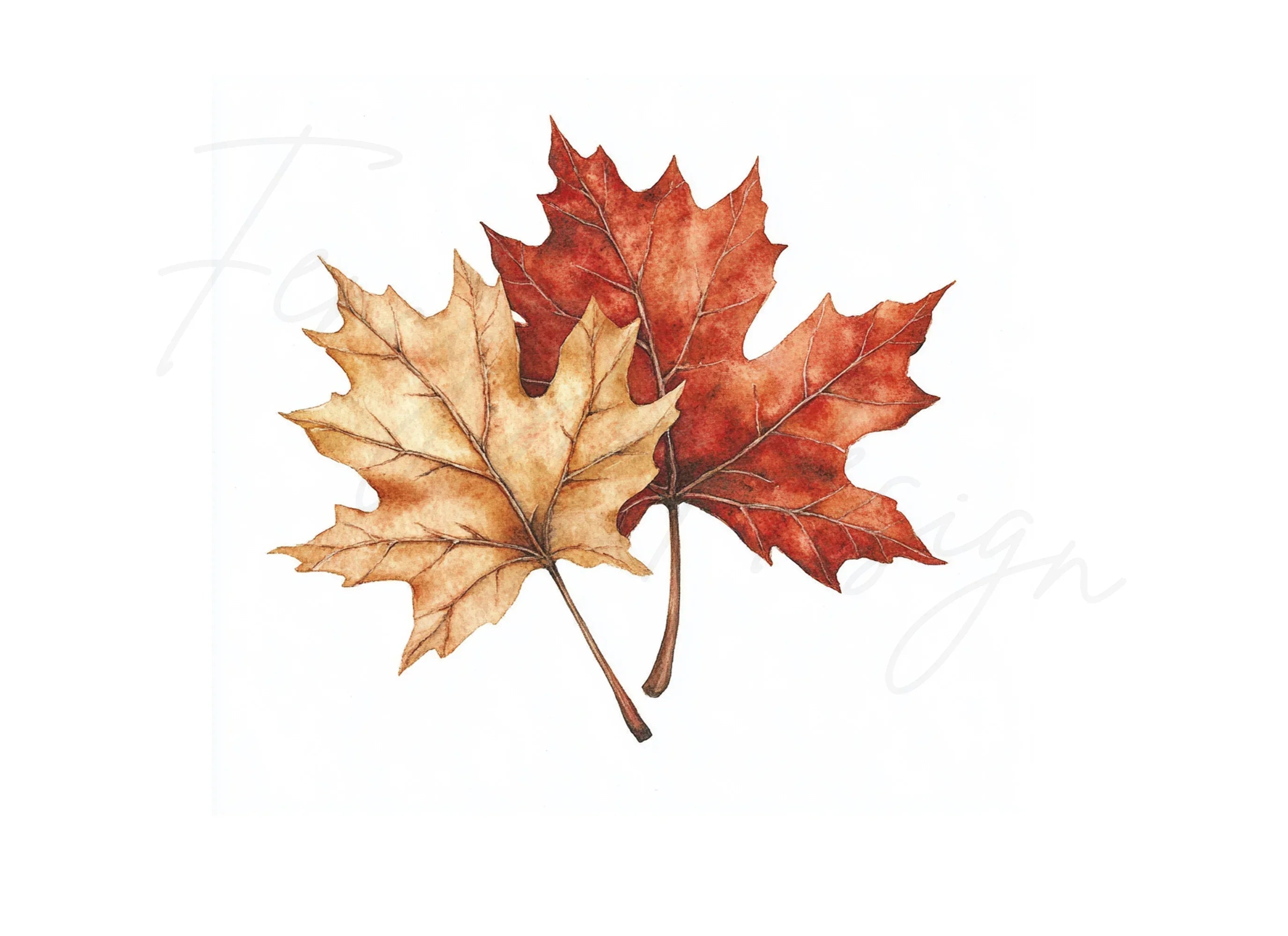 Autumn Maple Leaves Clipart Bundle