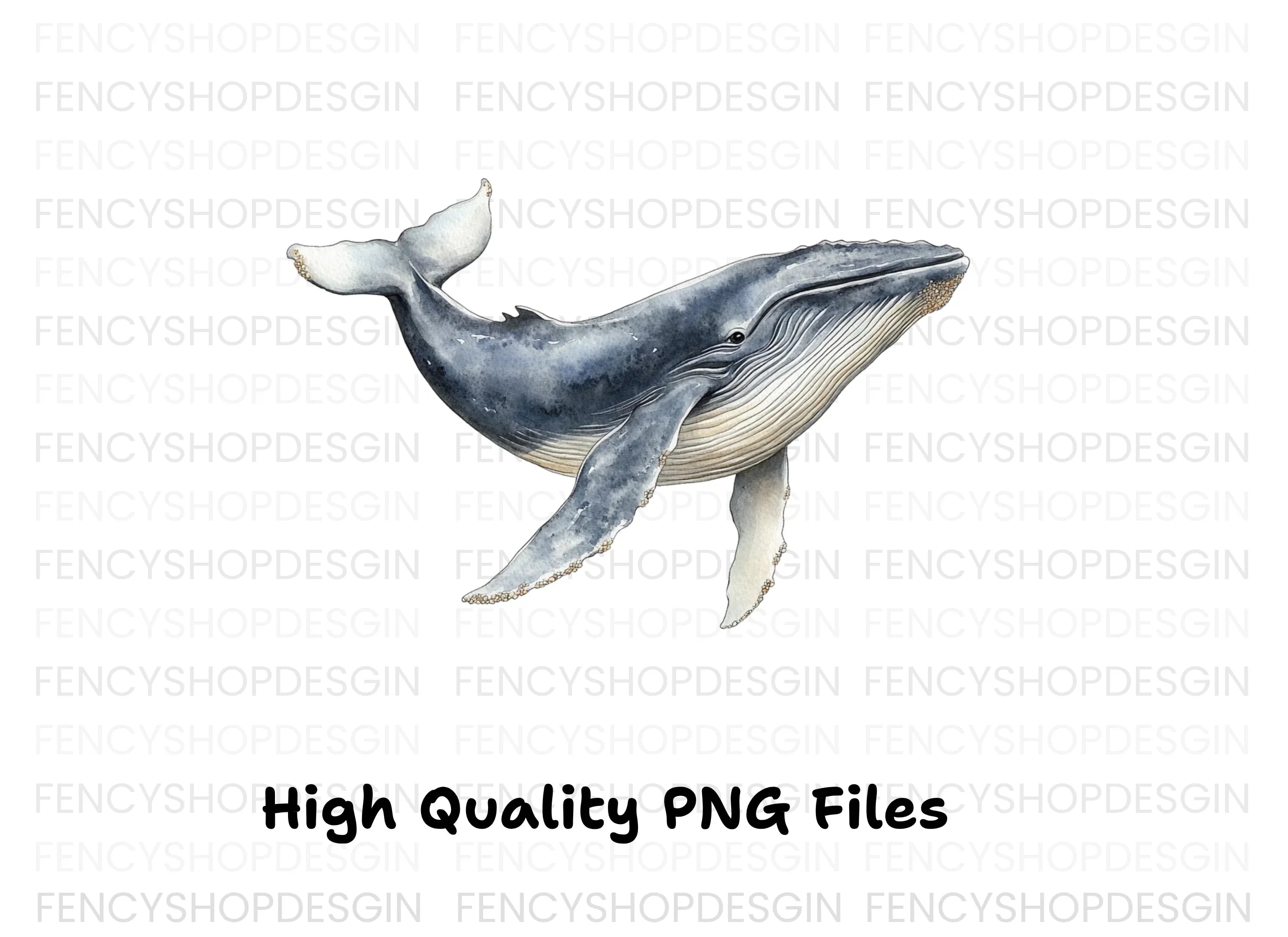 Majestic Whale Duo Clipart Bundle