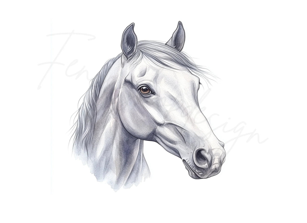 Beautiful White Horse Head Clipart Bundle