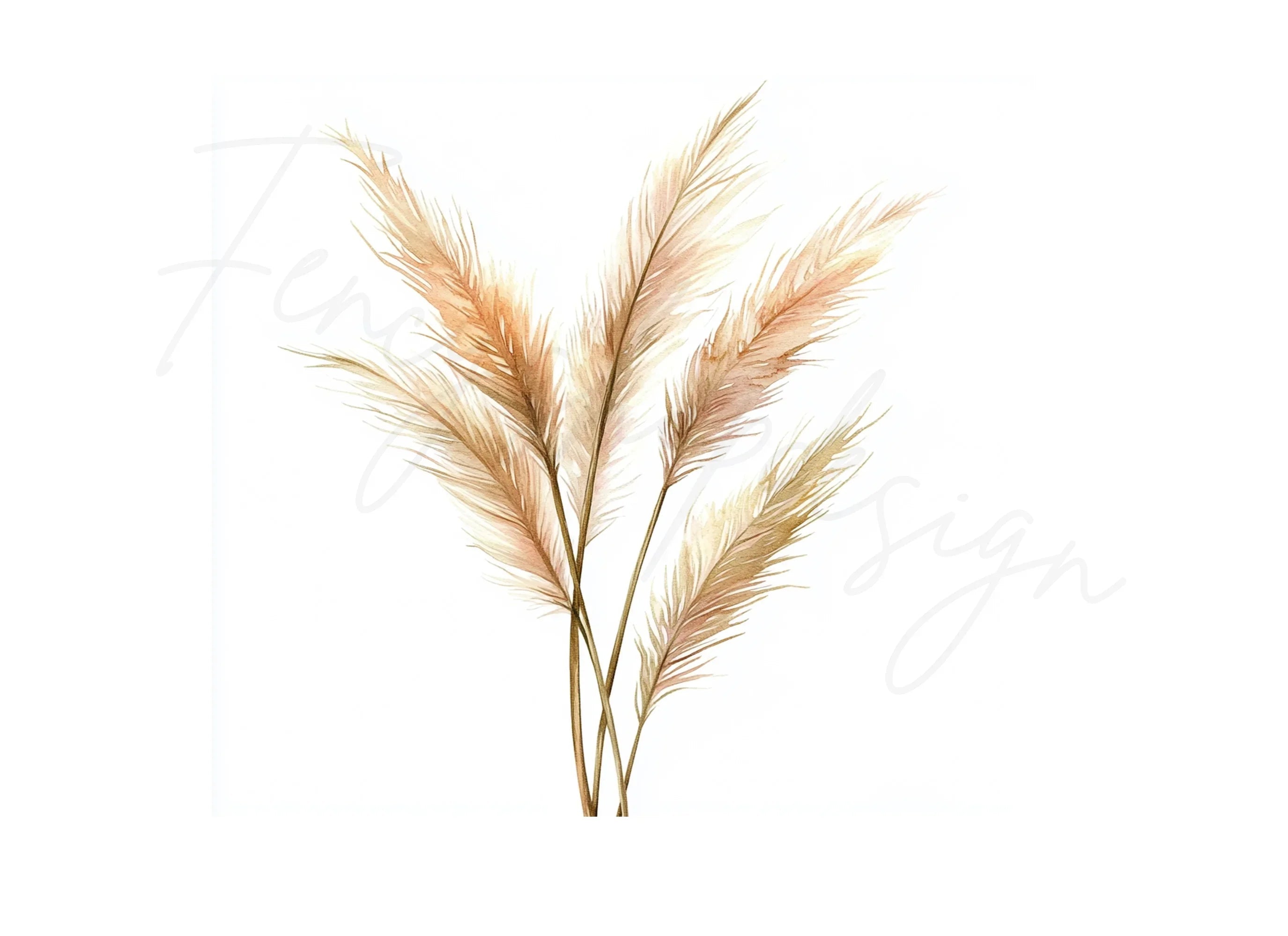 Pampas Grass Clipart Bundle
