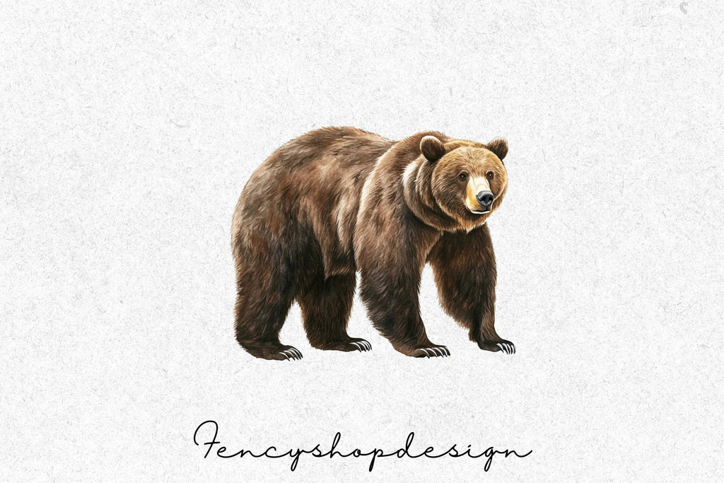 Brown Bear Clipart Bundle