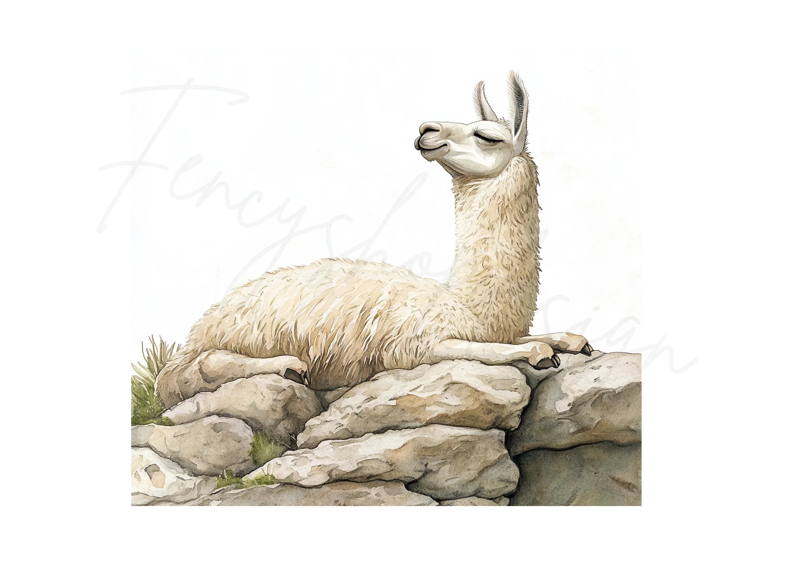 Llama on Rocks Clipart Bundle