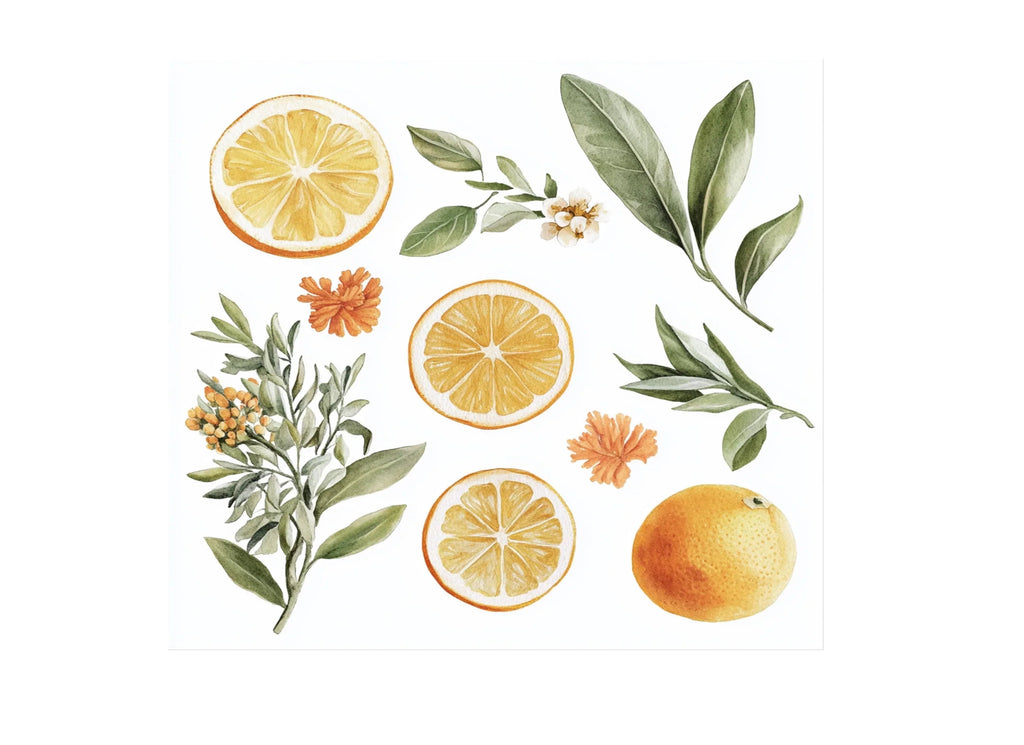 Citrus Greenery Clipart Bundle