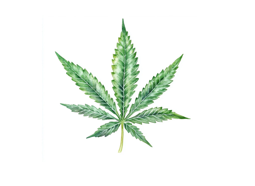 Vibrant Green Marijuana Leaf Clipart Bundle