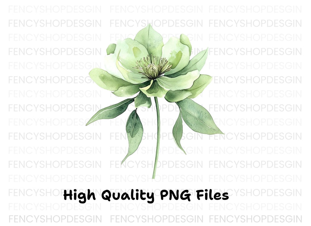 Elegant Green Hellebore Flower Clipart Bundle