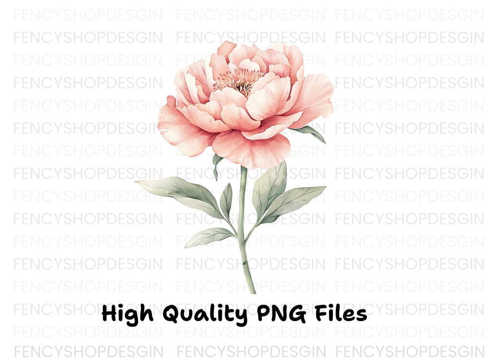 Elegant Pink Peony Clipart Bundle