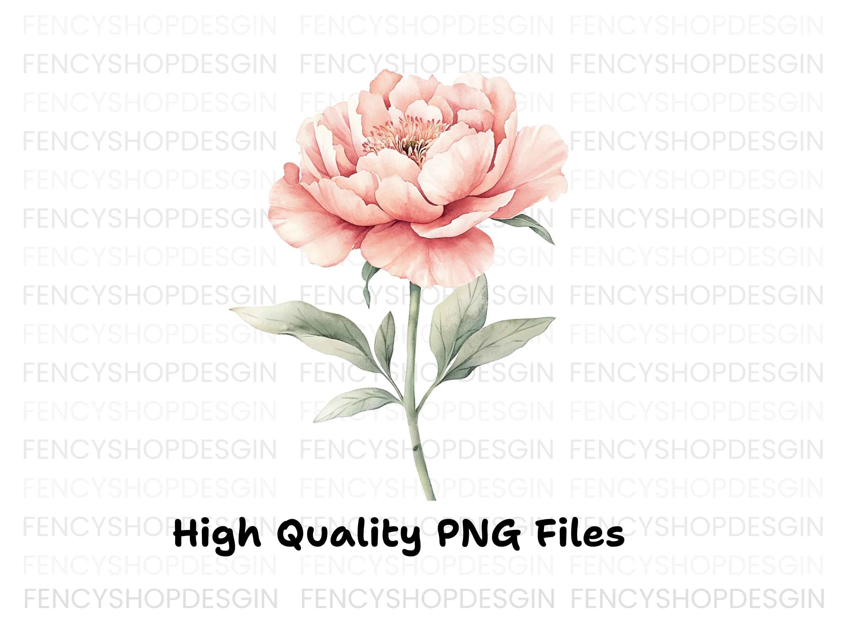 Elegant Pink Peony Clipart Bundle