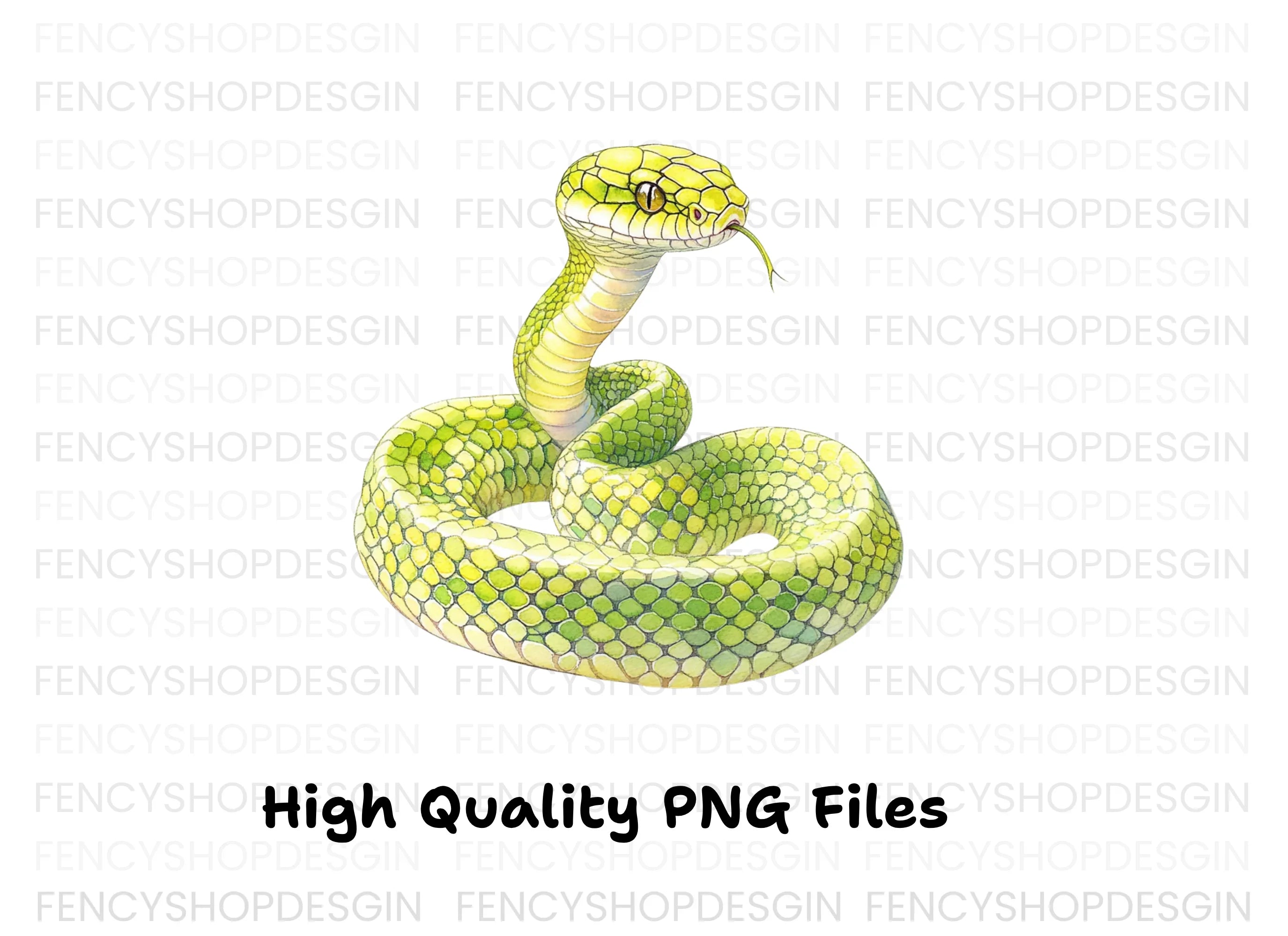 Green Snake Illustrations Clipart Bundle