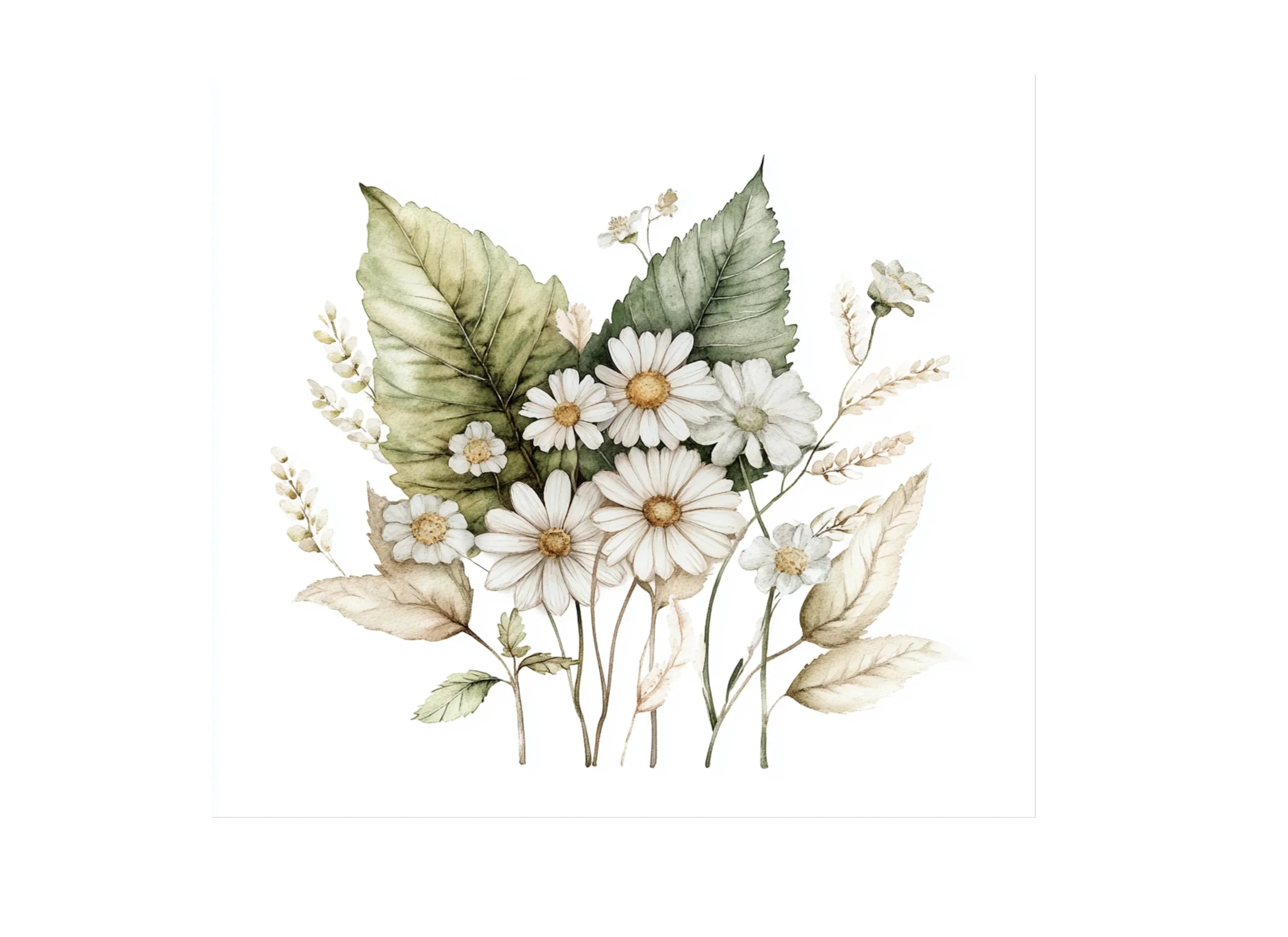 Daisy and Wildflower Clipart Bundle