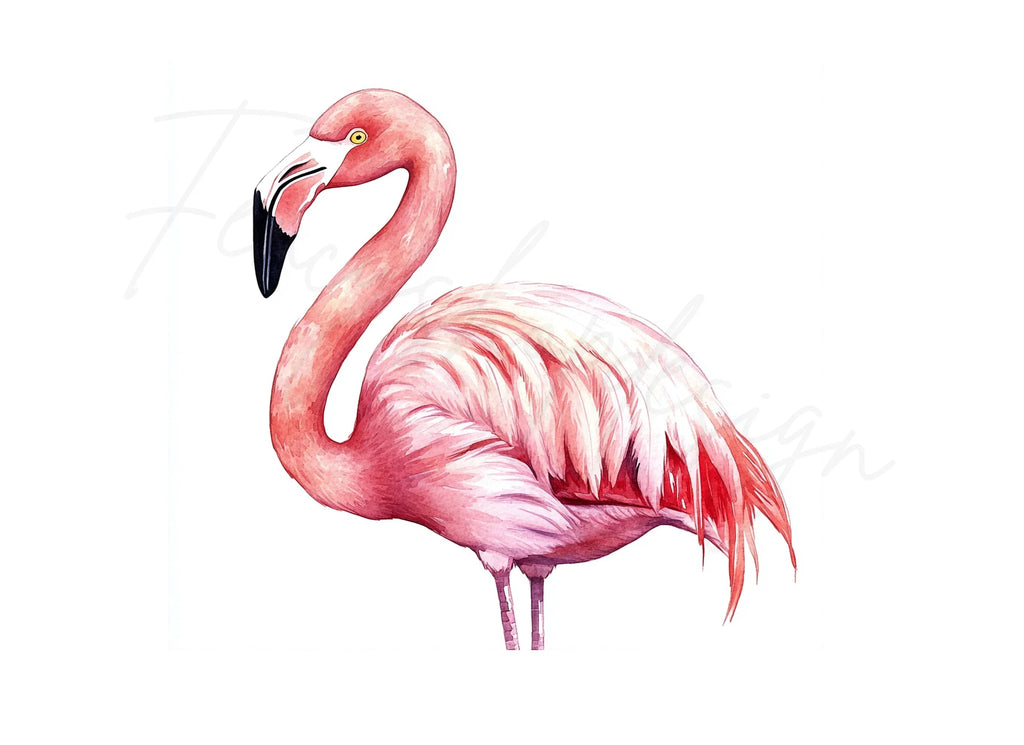 Pink Flamingo Clipart Bundle