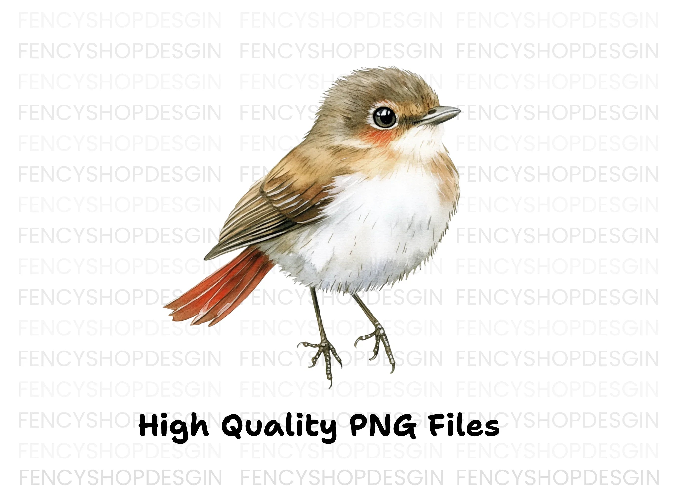 Cute Bird Clipart Bundle