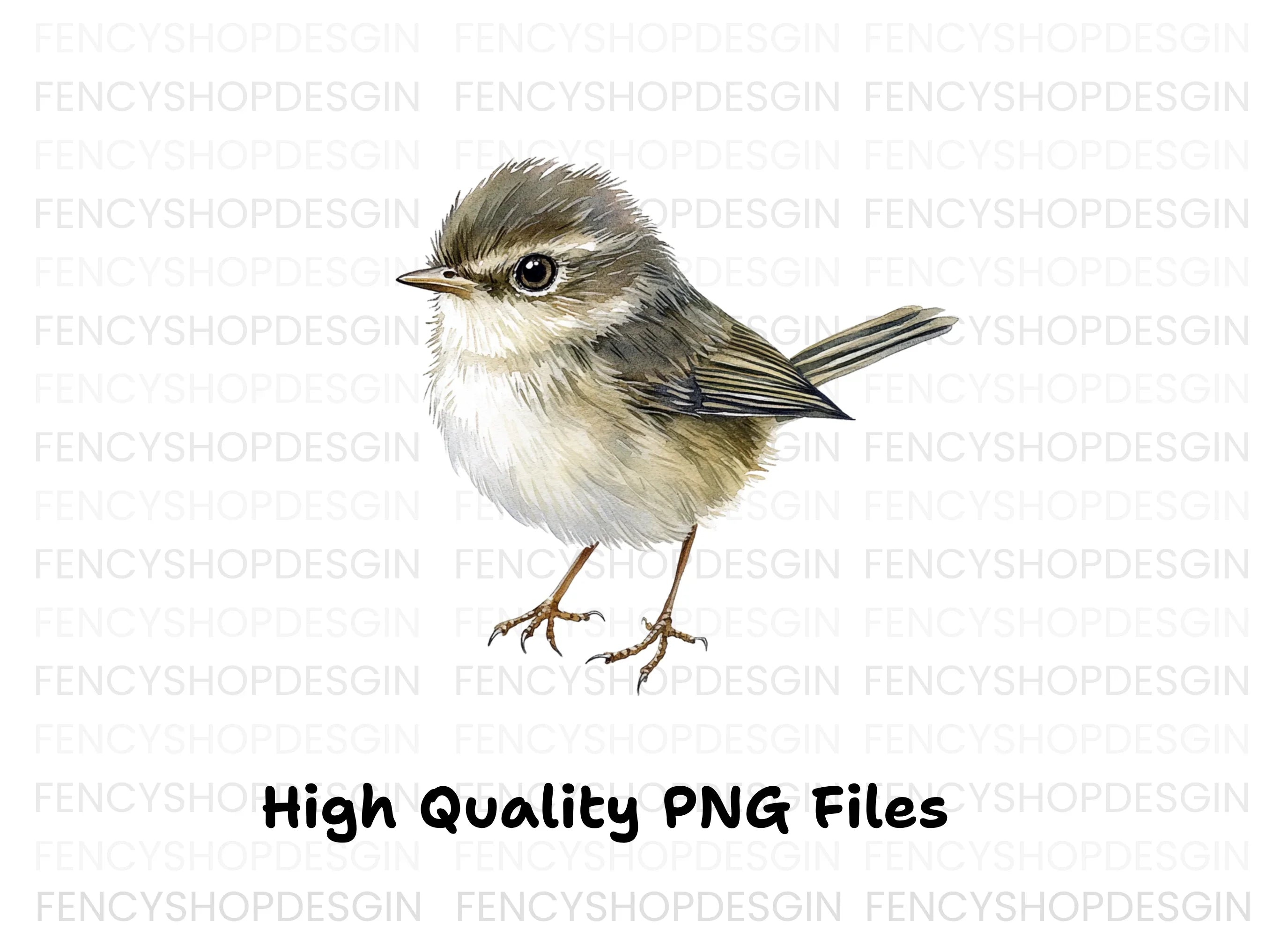 Cute Baby Birds Clipart Bundle