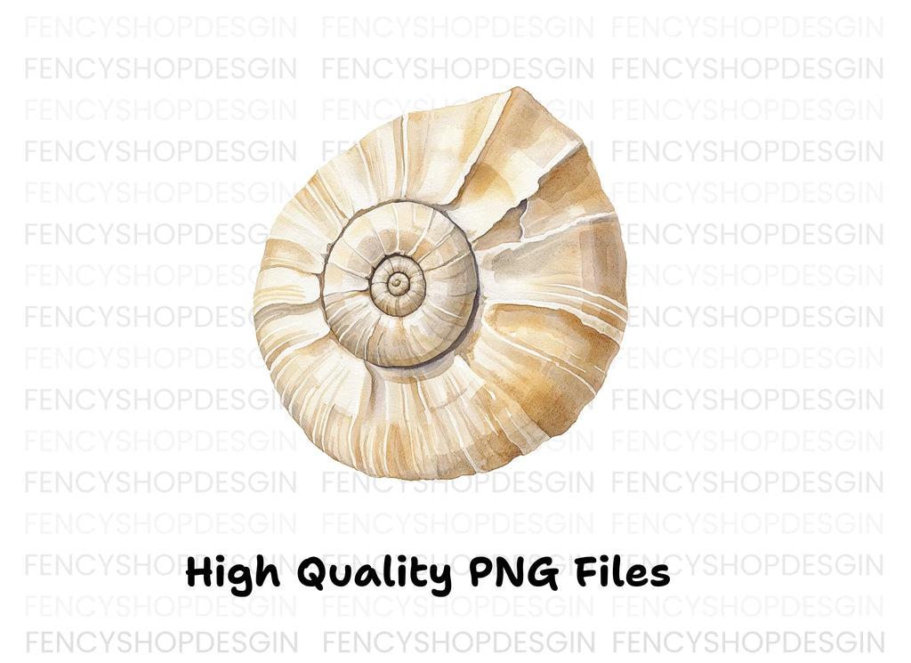 Ammonite Fossil Shell Clipart Bundle
