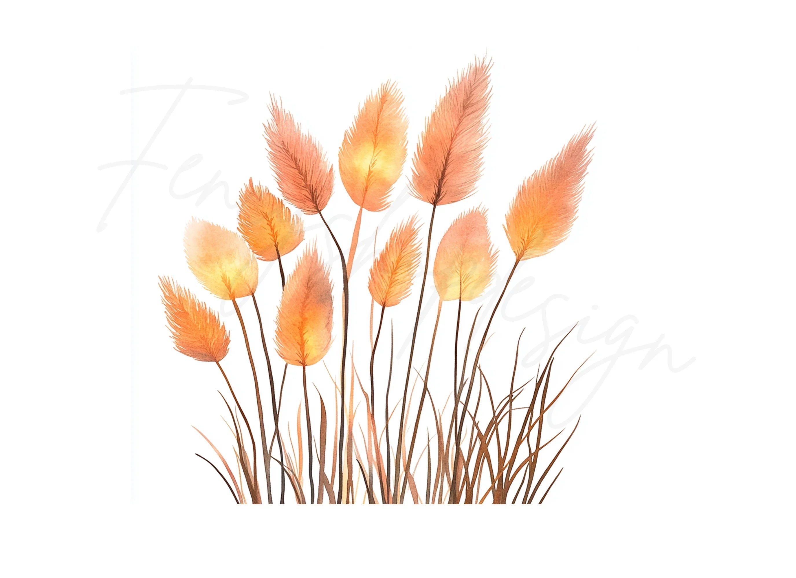 Autumn Pampas Grass Clipart Bundle